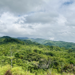 Habita Gestión Inmobiliaria