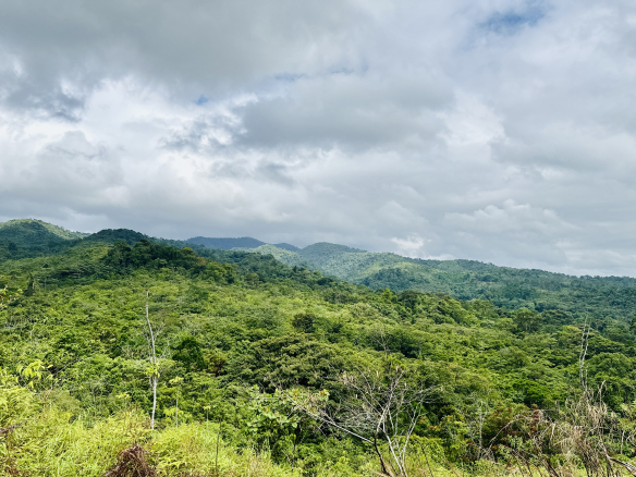 Habita Gestión Inmobiliaria