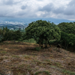 Habita Gestión Inmobiliaria