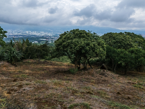 Habita Gestión Inmobiliaria