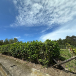 Habita Gestión Inmobiliaria