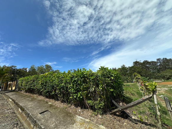 Habita Gestión Inmobiliaria