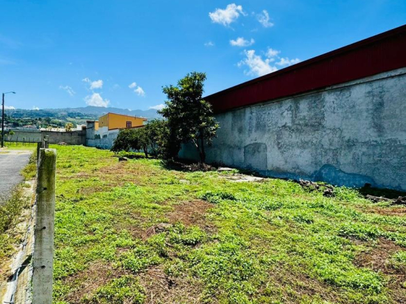 Habita Gestión Inmobiliaria