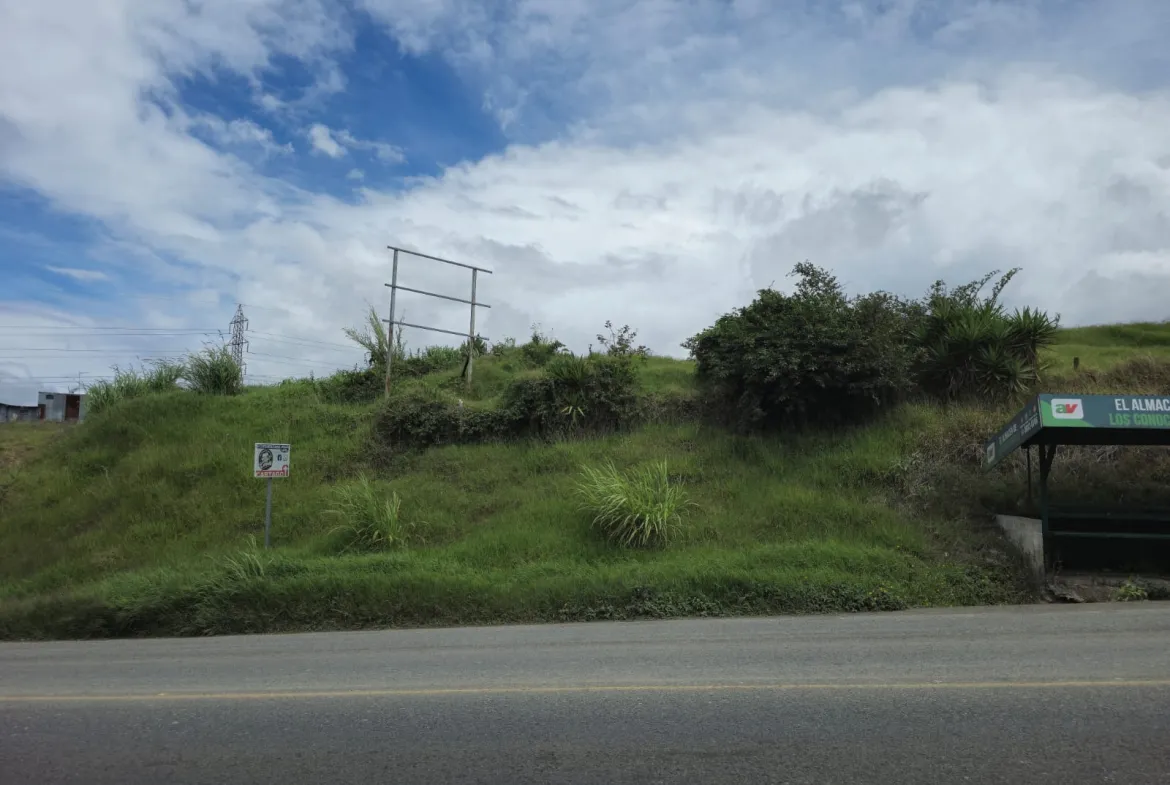 Imagen de WhatsApp 2025 04 22 a las 17.16.54 8e1d3a25