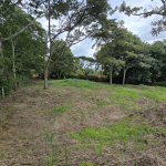 Habita Gestión Inmobiliaria