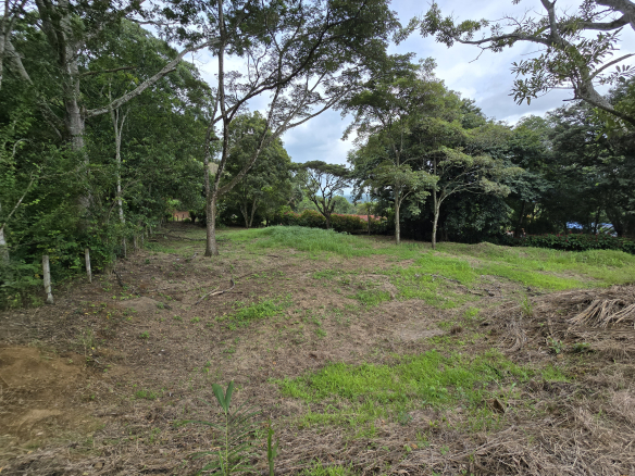 Habita Gestión Inmobiliaria