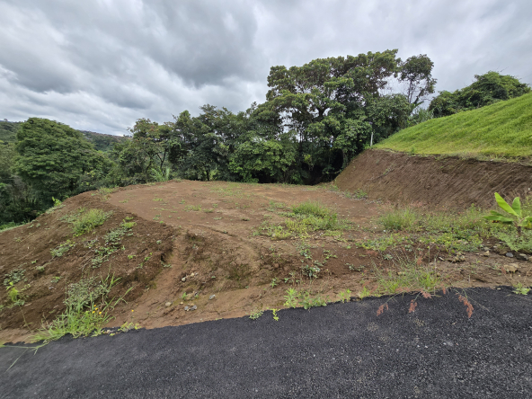 Habita Gestión Inmobiliaria