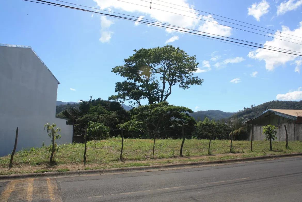 IMG 20250925 WA0008