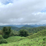 Habita Gestión Inmobiliaria