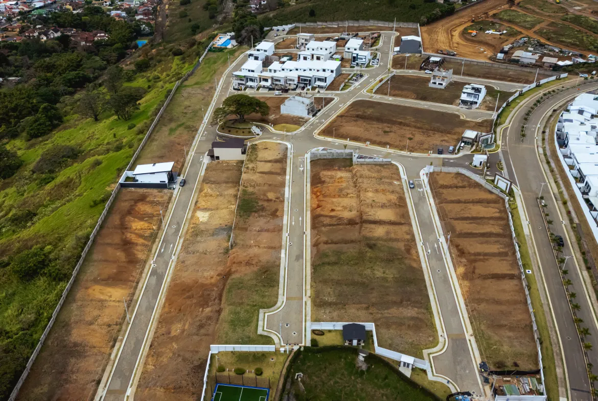 DJI 20260224095359 0091 D