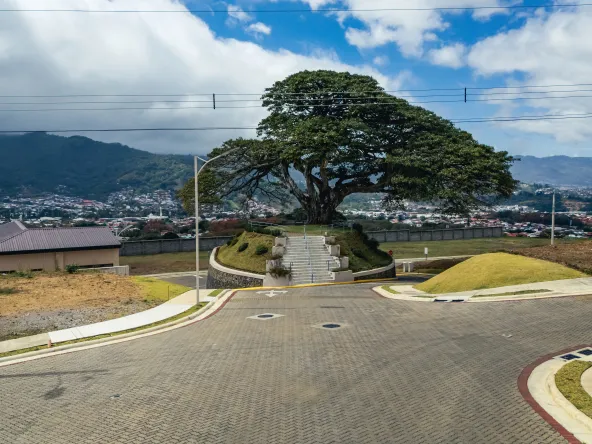 DJI 20260224095515 0095 D