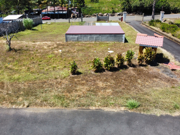 dji fly 20260207 121650 830 1770488278410 photo optimized