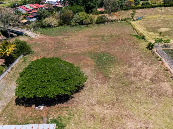 DJI 20260302123948 0073 D