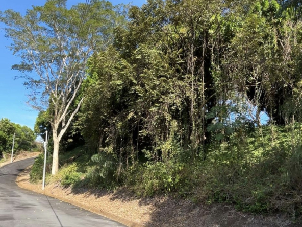 Habita Gestión Inmobiliaria