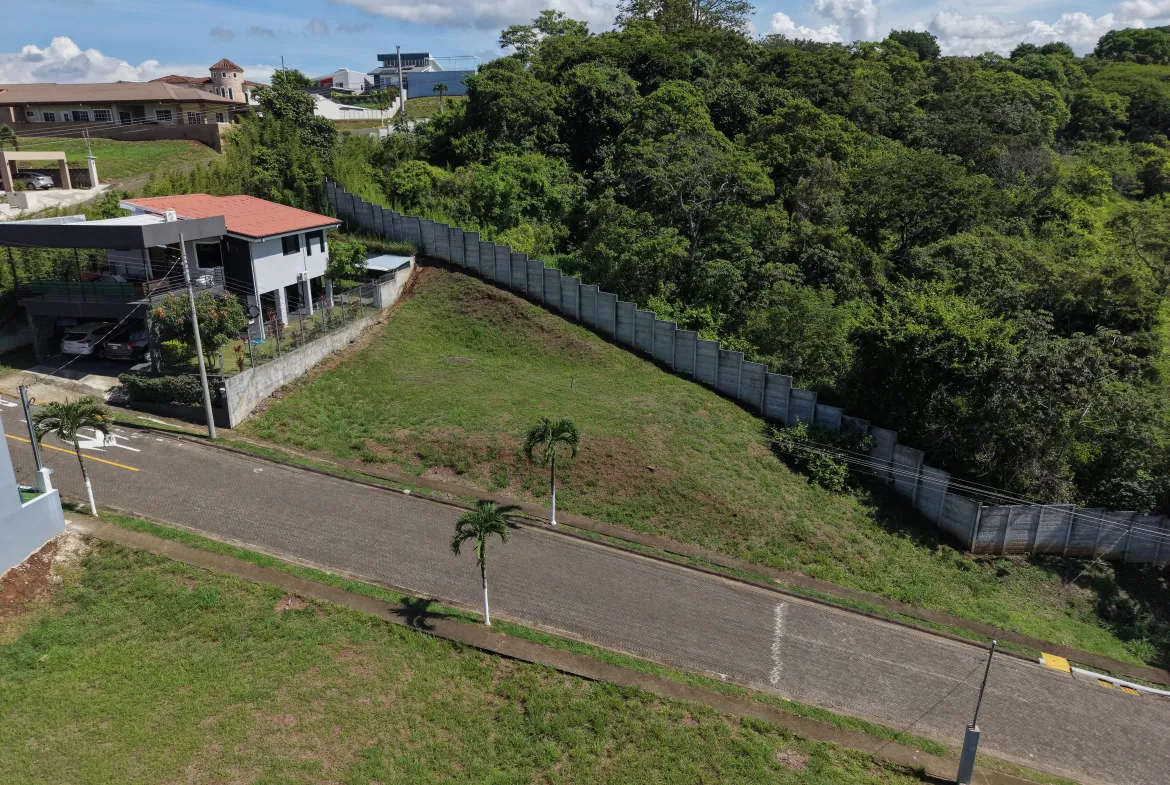 dji fly 20260605 091726 0396 1780678209382 photo