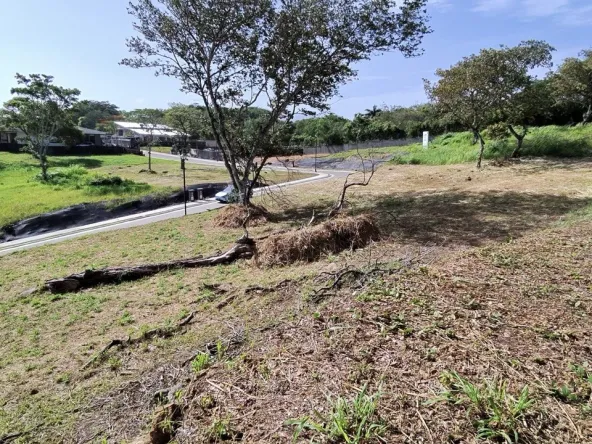 Lote vista interna