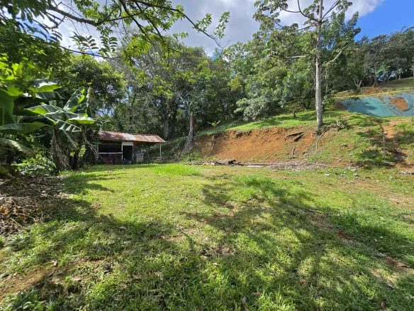 Habita Gestión Inmobiliaria