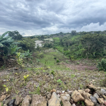 Se Vende Lote en Cartago, Cervantes de Alvarado, Calle Las Trojas.