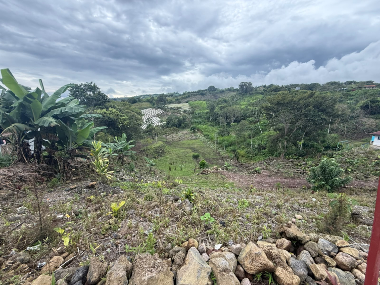 Se Vende Lote en Cartago, Cervantes de Alvarado, Calle Las Trojas